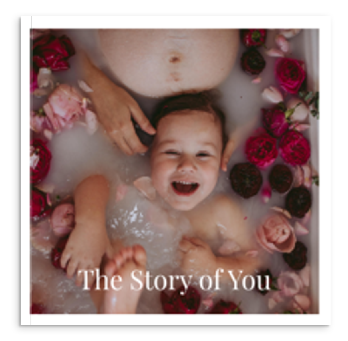Photo Books – Bloom Store